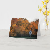 Bob Langrish Gray Warmblood Horse Standing Autumn Kaart (Gele Bloem)