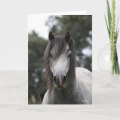 Bob Langrish | Gray Welsh Pony Headshot Kaart (Voorkant)