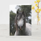 Bob Langrish | Gray Welsh Pony Headshot Kaart (Gele Bloem)