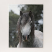 Bob Langrish | Gray Welsh Pony Headshot Legpuzzel (Verticaal)