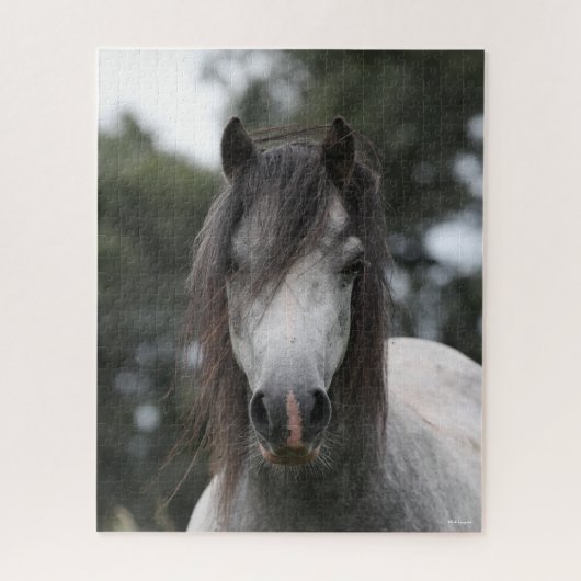 Bob Langrish | Gray Welsh Pony Headshot Legpuzzel (Verticaal)