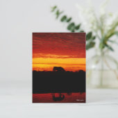 Bob Langrish | Grazing van Arabische paarden op zo Briefkaart (Staand voorkant)