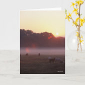 Bob Langrish | Grazing van Arabische paarden op zo Kaart (Gele Bloem)