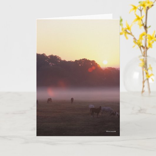 Bob Langrish | Grazing van Arabische paarden op zo Kaart (Gele Bloem)