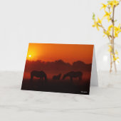 Bob Langrish | Grazing van drie paarden op de zon Kaart (Gele Bloem)