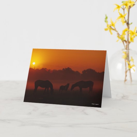 Bob Langrish | Grazing van drie paarden op de zon Kaart (Gele Bloem)