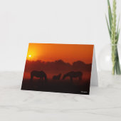 Bob Langrish | Grazing van drie paarden op de zon Kaart (Voorkant)