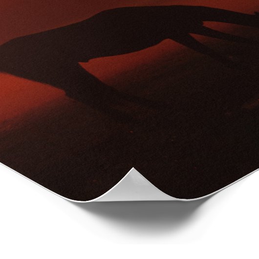 Bob Langrish | Grazing van drie paarden op de zon Poster (Hoek)