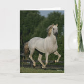 Bob Langrish | Grey Andalucian Running Kaart (Voorkant)