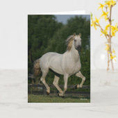 Bob Langrish | Grey Andalucian Running Kaart (Gele Bloem)