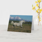 Bob Langrish Grey Arab Running Mountain Background Kaart (Gele Bloem)