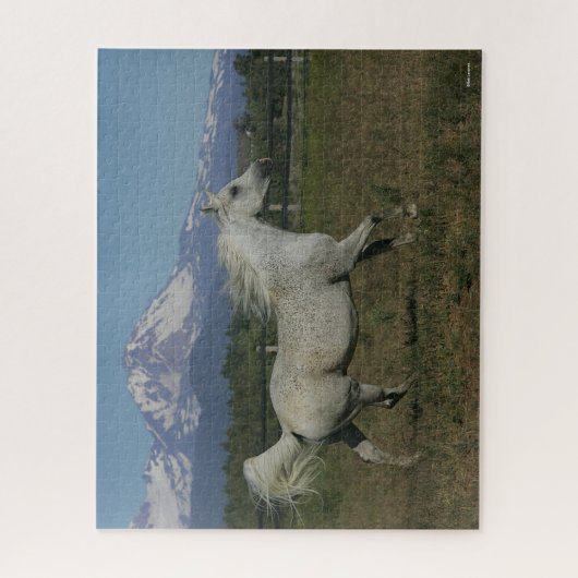 Bob Langrish Grey Arab Running Mountain Background Legpuzzel (Verticaal)