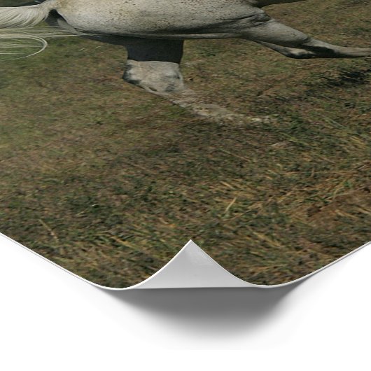 Bob Langrish Grey Arab Running Mountain Background Poster (Hoek)