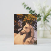 Bob Langrish | Grey Arab Stallion Headshot 4 Briefkaart (Staand voorkant)