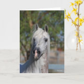 Bob Langrish | Grey Arab Stallion Headshot Kaart (Gele Bloem)