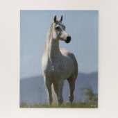 Bob Langrish | Grey Arab Stallion Standing Legpuzzel (Verticaal)