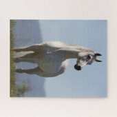 Bob Langrish | Grey Arab Stallion Standing Legpuzzel (Horizontaal)