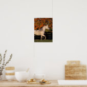 Bob Langrish | Grey Arab Stallion Walking Autumn Poster (Keuken)