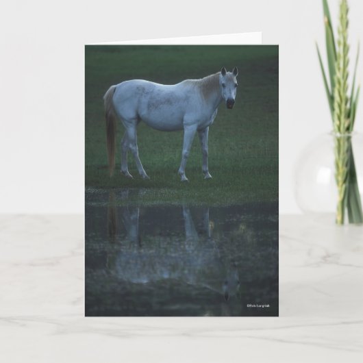 Bob Langrish Grey Arab Standing By Pond Reflection Kaart (Voorkant)