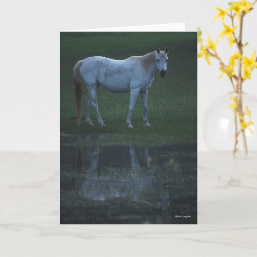 Bob Langrish Grey Arab Standing By Pond Reflection Kaart (Gele Bloem)