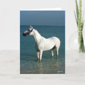 Bob Langrish | Grey Arab Standing In The Sea Kaart (Voorkant)