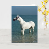 Bob Langrish | Grey Arab Standing In The Sea Kaart (Gele Bloem)