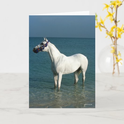 Bob Langrish | Grey Arab Standing In The Sea Kaart (Gele Bloem)