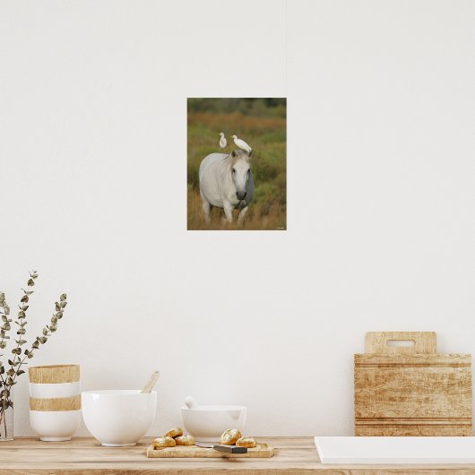 Bob Langrish | Grey Camargue Horse with Two Birds Poster (Keuken)