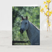 Bob Langrish Grey Dutch Warmblood Headshot achtera Kaart (Gele Bloem)