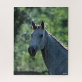 Bob Langrish Grey Dutch Warmblood Headshot achtera Legpuzzel (Verticaal)