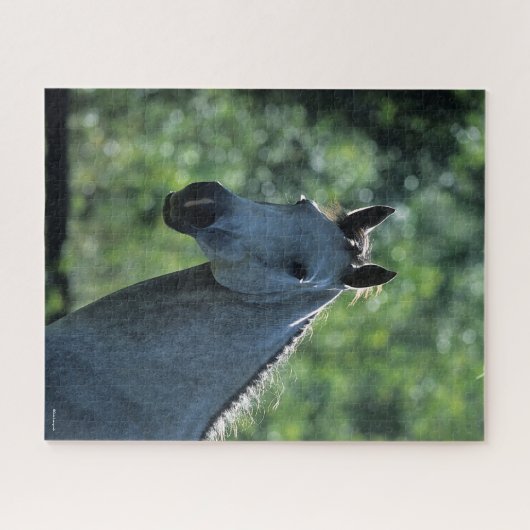Bob Langrish Grey Dutch Warmblood Headshot achtera Legpuzzel (Horizontaal)