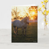 Bob Langrish | Grey Percheron Standing In Sunset Kaart (Gele Bloem)