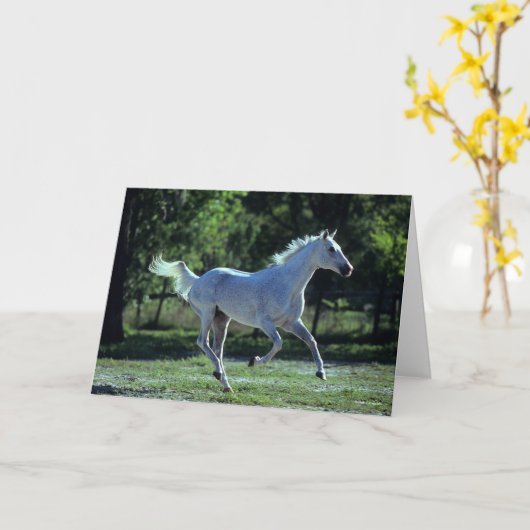 Bob Langrish | Grey Thoroughbred Stallion Running Kaart (Gele Bloem)