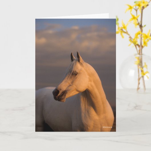 Bob Langrish | Grijs Arabisch schot Avondlicht Kaart (Gele Bloem)