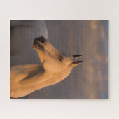 Bob Langrish | Grijs Arabisch schot Avondlicht Legpuzzel (Horizontaal)