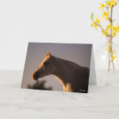 Bob Langrish | Grijs Arabisch, vast hoofdscherm me Kaart (Gele Bloem)