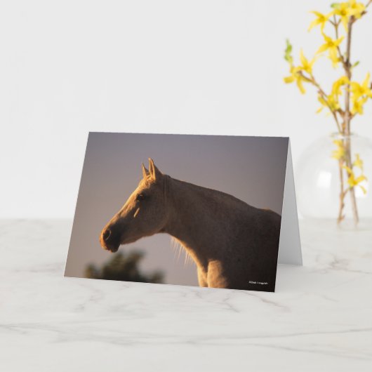 Bob Langrish | Grijs Arabisch, vast hoofdscherm me Kaart (Gele Bloem)