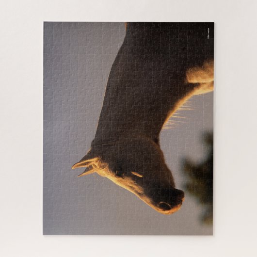 Bob Langrish | Grijs Arabisch, vast hoofdscherm me Legpuzzel (Verticaal)