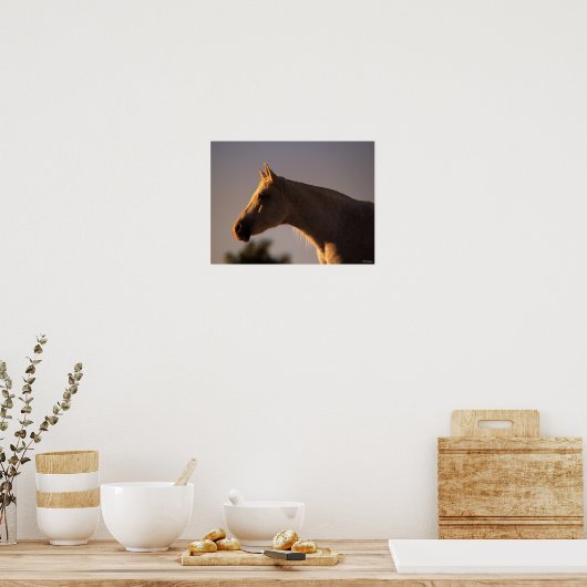 Bob Langrish | Grijs Arabisch, vast hoofdscherm me Poster (Keuken)