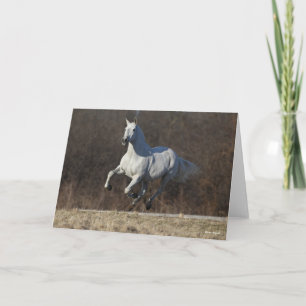 Bob Langrish   Grijze Andalucian Running Kaart