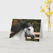 Bob Langrish | Grijze Andalucian Stallion Headshot Kaart (Gele Bloem)