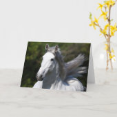 Bob Langrish | Grijze Andalucian Stallion Headshot Kaart (Gele Bloem)