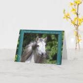 Bob Langrish | Grijze Andalucian Stallion Headshot Kaart (Gele Bloem)
