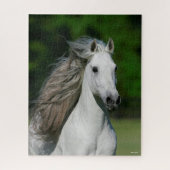 Bob Langrish | Grijze Andalucian Stallion Headshot Legpuzzel (Verticaal)