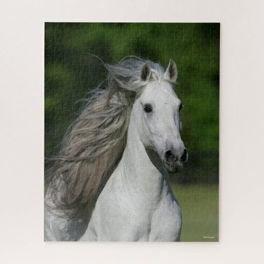 Bob Langrish | Grijze Andalucian Stallion Headshot Legpuzzel (Verticaal)