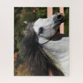 Bob Langrish | Grijze Andalucian Stallion Headshot Legpuzzel (Verticaal)