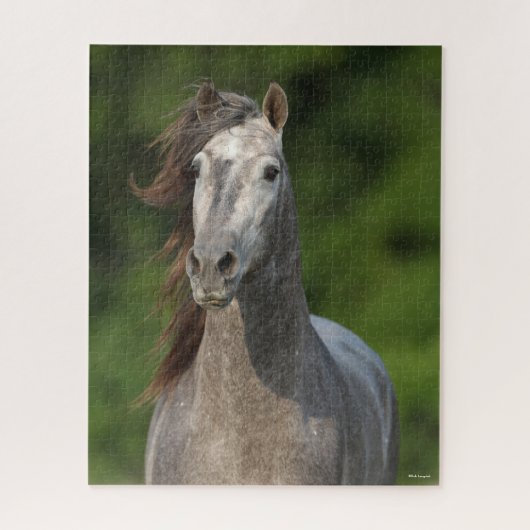 Bob Langrish | Grijze Andalucian Stallion Headshot Legpuzzel (Verticaal)