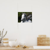 Bob Langrish | Grijze Andalucian Stallion Headshot Poster (Keuken)
