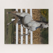 Bob Langrish | Grijze Andalucian Stallion Rearing Legpuzzel (Horizontaal)