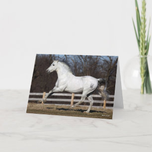 Bob Langrish   Grijze Andalucian Stallion Running Kaart